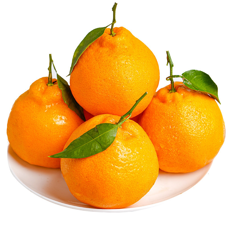 四川耙耙柑春见粑粑柑爆汁现摘大果手剥桔子新鲜水果整箱10斤顺丰