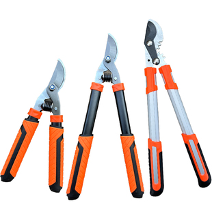 迷你修枝大剪刀园艺果树剪树枝专用大力剪修剪园林粗枝剪大剪子