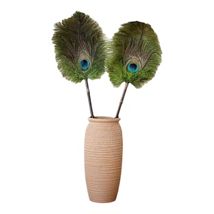 鸡毛掸子插瓶孔雀鸵鸟家用刷钢琴除尘清洁复古防静电高档加密扫灰