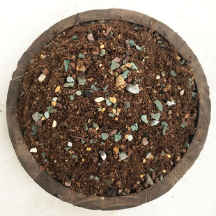 园艺多肉颗粒土铺面垫底专用颗粒70%颗粒法师多肉通用土