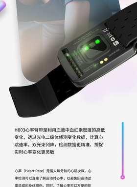 H803心率带臂带监测运动跑步骑行健身户外防水蓝牙ANT+双模