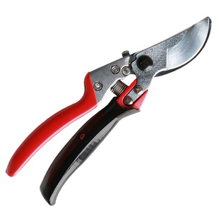 ARS官方进口爱丽斯VS-789XR修枝剪园林园艺剪刀工具果树剪粗枝剪