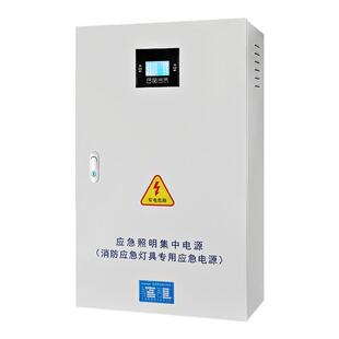 应急照明集中电源配电箱A型消防灯具B型控制器36V主机24防爆柜EPS