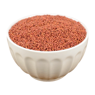 楮实子中药材小药仙正品野生楮实籽褚实子楮实子粉构树子楮桃果仁