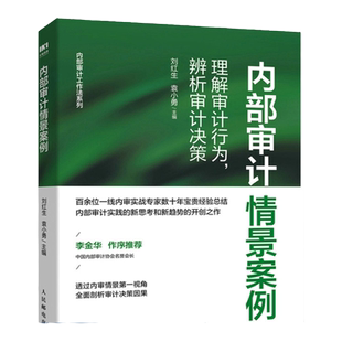 内部审计情景案例理解审计行为辨析审计决策 合规管理内审理论审计实务经验书 人民邮电出版社