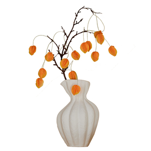 掬涵仿真宫灯花新年干花栾树灯笼果假花摆设仿生花束花艺装饰摆件