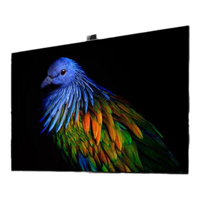 [补贴15%]小米电视6至尊版65英寸QLED百级分区摄像头100W音响131