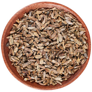 白术种子多年生中药材种苗白术种植苗中草药盆栽药材白术种植种苗