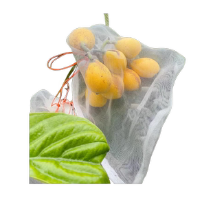 枇杷套袋专用袋防虫防鸟水果桃子果袋枇杷果莲雾苹果防虫神器纱网