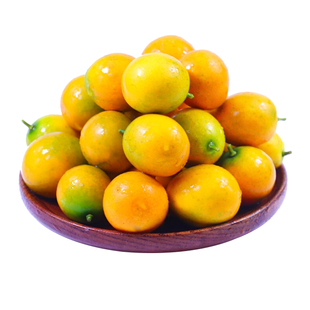 正宗第三代脆蜜金柑广西融安金桔费罗列装大果新鲜甜脆豪华版礼盒