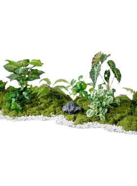 仿真花植物苔藓造景装饰