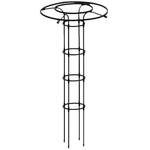 伞形花架月季爬藤架园艺支架阳台庭院户外玫瑰攀爬支撑杆花架子