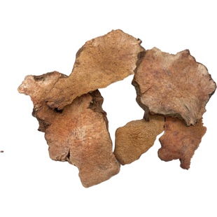 【纯粉无添加】土茯苓中药粉现磨50克土茯苓片土茯苓干片中药材店