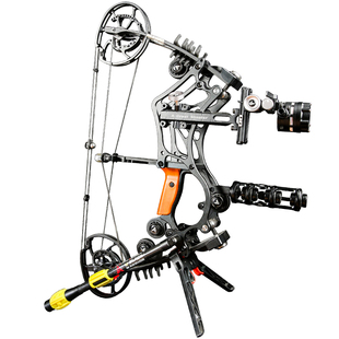 AGS射手精灵复合弓两用钢珠弓箭射箭成年人狩猎专用高精度钛精灵