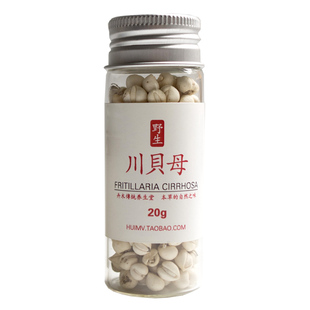 四川阿坝州正宗野生川贝母中药材特级松潘松贝颗干货粒一克多少钱