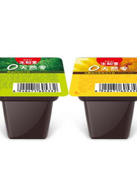 广东江门生和堂龟苓膏即食