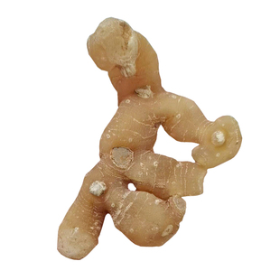 精选15年黄精干货九华山野生老黄精个泡茶水即食泡酒非九蒸九晒制