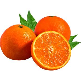 【年货礼盒】象山红美人柑橘高端水果礼盒爱媛28号柑桔