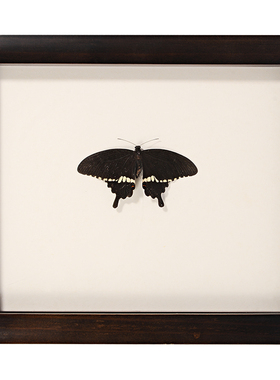 集川实木相框标本挂墙画框立体