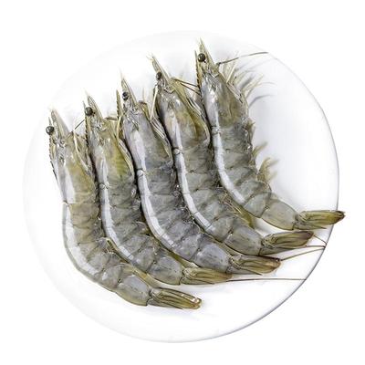 大虾鲜活速冻南美白对虾海鲜水产