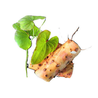 农户自销温县淮怀家庭装糯面铁棍