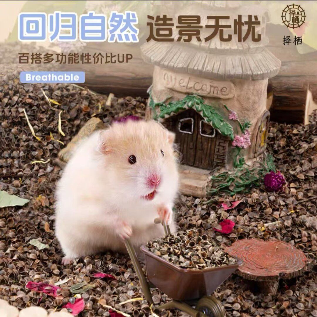 荞麦砂仓鼠金丝熊仓鼠夏天铺垫料鼠鼠夏天夏季垫料
