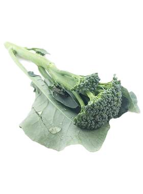 新鲜包邮兰花蔬菜西兰苔