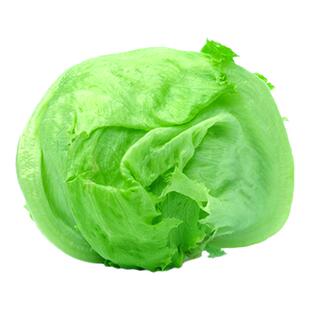 中甘十一号甘蓝种子 蔬菜种子 包菜种子 洋白菜种子结球性强