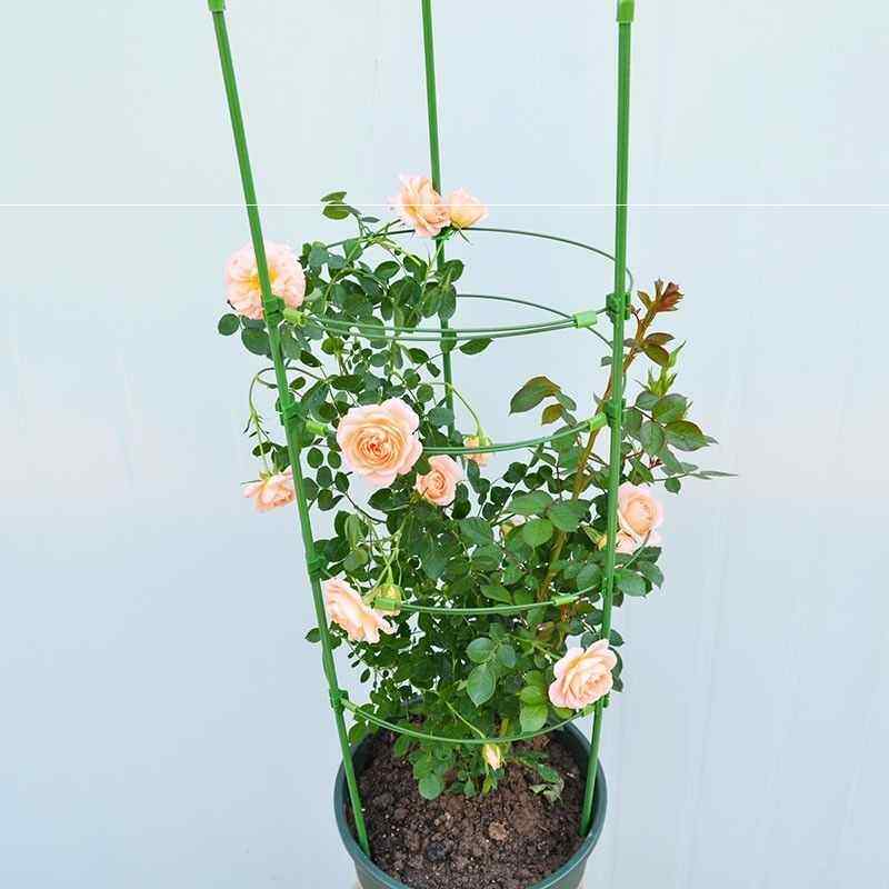 昙花专用支架通用型简约花园支架葫芦插花昙花月季花架花卉支撑杆