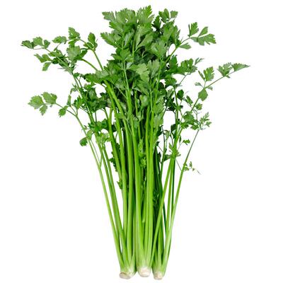 章丘鲍芹新鲜芹菜香芹