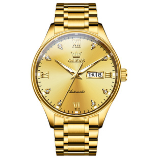 18k全金色瑞士认证正品牌双日历手表男士自动机械表夜光防水十大