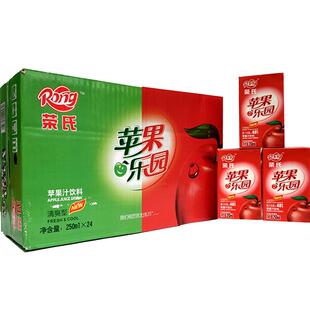 荣氏果汁 青红苹果汁 家庭聚会 250ML*24