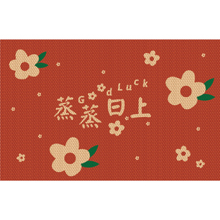 2026新款厨房地垫防水防油耐脏可擦免洗地毯喜庆吸水门口脚垫子