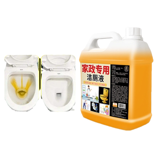 马桶清洁剂洁厕灵大桶装除垢去尿渍异味留香洗厕所水箱神器#