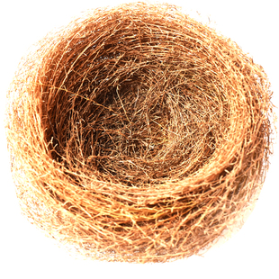 鸟窝天然干草孵蛋窝迷你鸟类垫材小鸟造景装饰柔软防寒保暖仿真窝