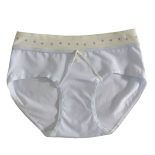 A类棉全裤10A抗菌内裤女生纯棉2025新款全棉加长裆少女中腰三角裤