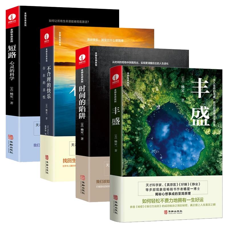 【现货正版】全套4册 杨定一的书籍 丰盛 时间的陷阱 短路心灵的科学 转折点 新书全部生命系列心理成长青春励志心灵与修养书籍