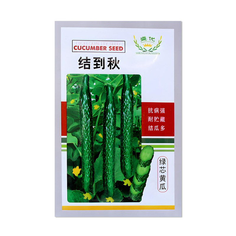 盛优结到秋绿芯黄瓜种子