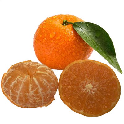 广西梧州砂糖橘新鲜水果桔子