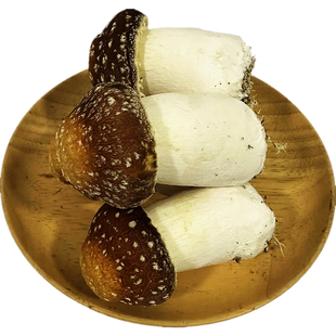 新鲜赤松茸大球盖菇食用菌菇姬松茸煲汤火锅炒菜时令蘑菇现采现发