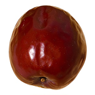 山西红枣正宗稷山板枣老枣树红枣结果拉丝红枣滋补养生端午粽子枣