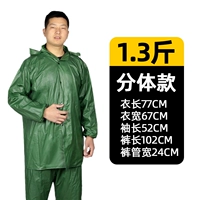 1,3 кот физических денег