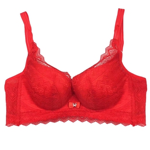 玉姿一族6815背心款聚拢透气美背文胸B杯无钢圈薄款洞享杯深V蕾丝