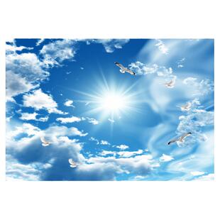 蓝天白云天花板贴纸墙纸自粘壁纸客厅卧室背景屋吊顶墙贴装饰壁画