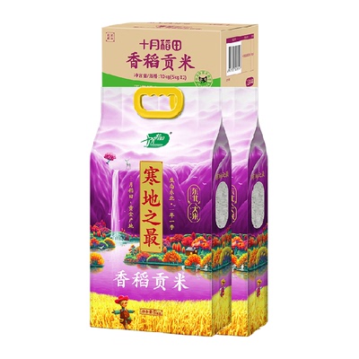 十月稻田东北香稻贡米