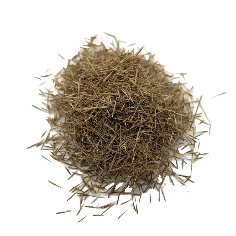 种子帮精选鼠茅草种子