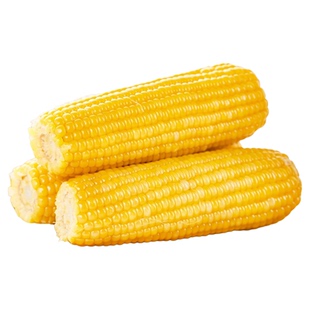 2025[双有机带苞叶]苞公主甜糯玉米软糯鲜香甜十足玉米味黑土孕育