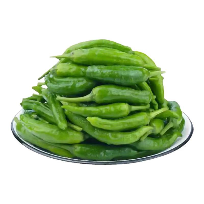 湖南樟树新鲜辣椒产地直发