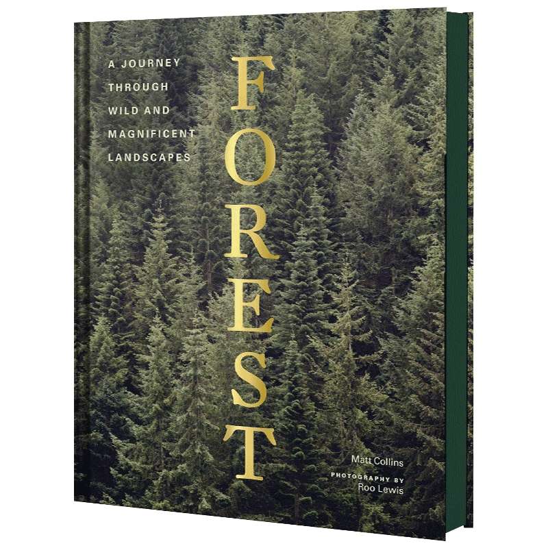 森林 英文原版 精装 Forest 树木自然摄影集 户外风光照相拍摄 英文版 进口英语书籍