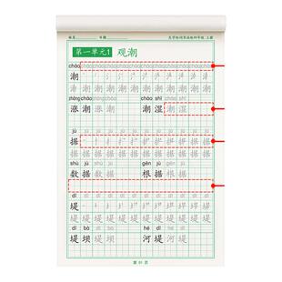 四年级上册下册五六年级同步练字帖人教版字帖小学生每日一练钢笔练字本硬笔书法语文写字贴初学者专用正楷楷书教材临摹词语部编版